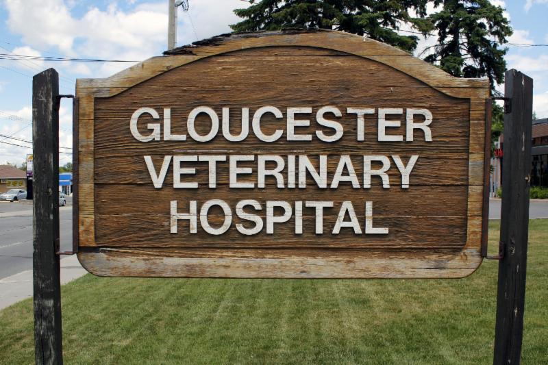 Gloucester Veterinary Hospital Opening Hours 2470 St. Joseph Blvd