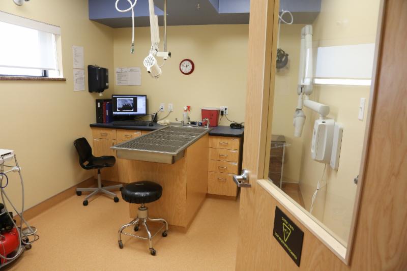 Dawson Creek Veterinary Clinic Small Animals Dawson Creek, BC 238