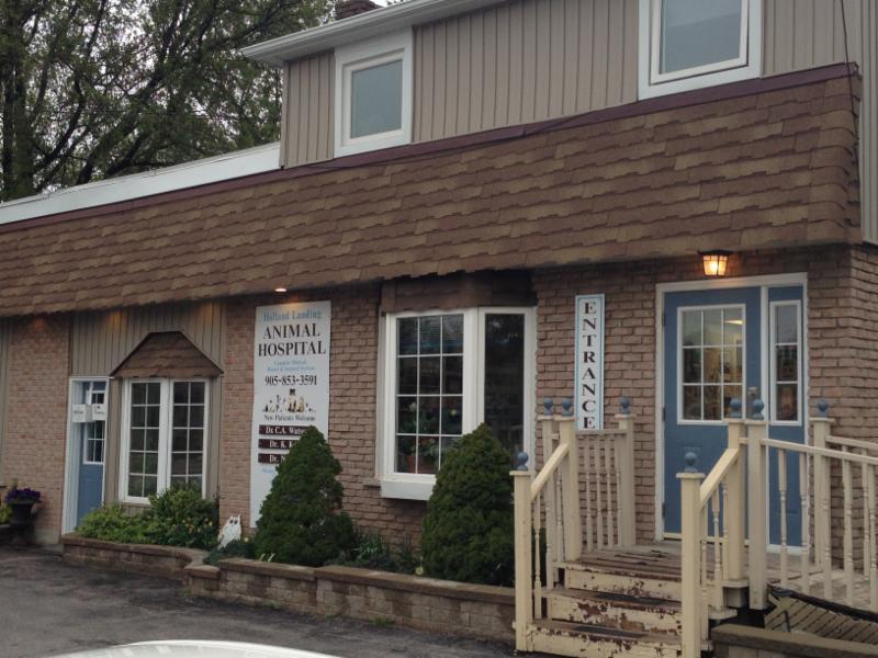 Holland Landing Animal Hospital Opening Hours 19455 Yonge St