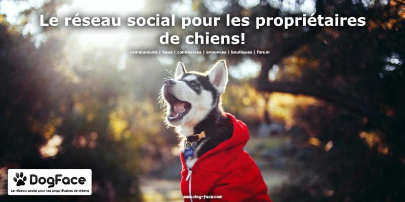rencontre propriétaire animaux