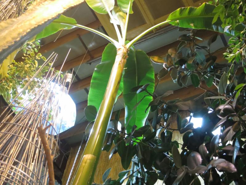 all seasons garden centre inc opening hours 10027 81 all seasons garden centre inc opening hours 10027 81
