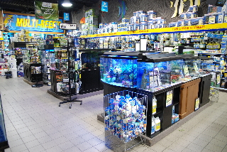 Big Al's Aquarium Supercentres - Mississauga, ON - 850