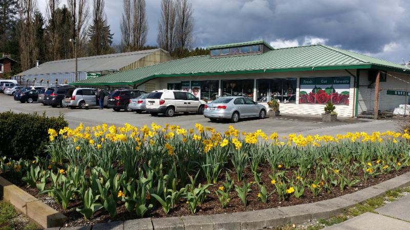 Rona Garden Centre Hours ~ elizabethrossdesigns