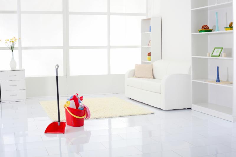 spotless cleaning services