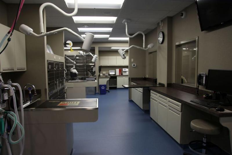 Dog And Cat Hospital Clearview Dog And Cat Hospital Clearview