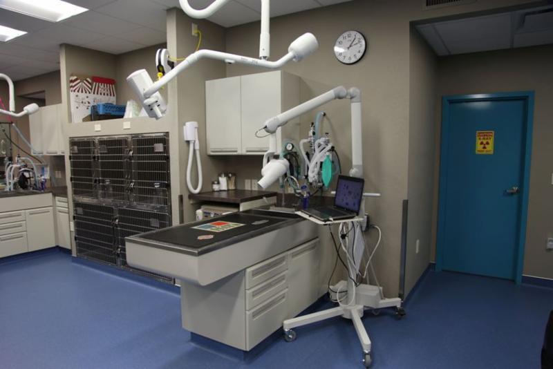 Red Deer Clearview Dog And Cat Hospital Red Deer Clearview Dog And Cat Hospital