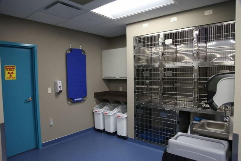 Dog And Cat Hospital Red Deer Hours Dog And Cat Hospital Red Deer Hours