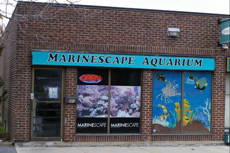 Marinescape Aquarium Opening Hours 947 Carling Ave, Ottawa, ON