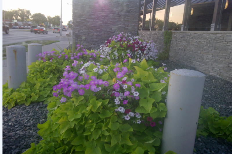 Where To Get Natural Products St Paul Mb Where To Get Natural Products St Paul Mb