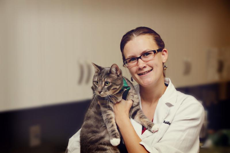 mike nichols zoetis cbs animal hospital conception bay south nl 4 coffee mike nichols zoetis cbs animal hospital conception bay south nl 4 coffee