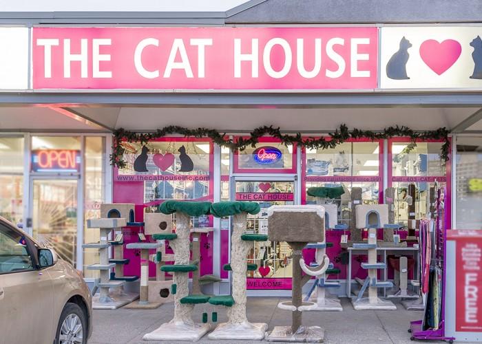 the cat house calgary ab bay 2a 1941 uxbridge drive the cat house calgary ab bay 2a 1941 uxbridge drive