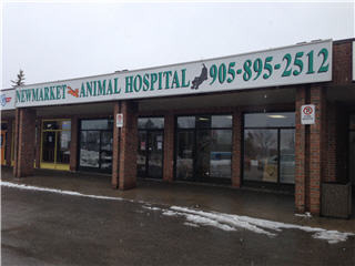 animal newmarket hospital