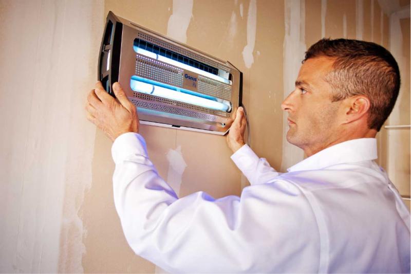 Abell Pest Control Bed Bugs Abell Pest Control Bed Bugs