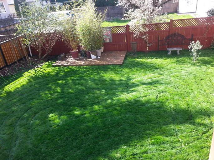 Garden Design Victoria Bc eric's lawn care and garden design - opening hours - 2840 dysart Garden Design Victoria Bc eric's lawn care and garden design - opening hours - 2840 dysart