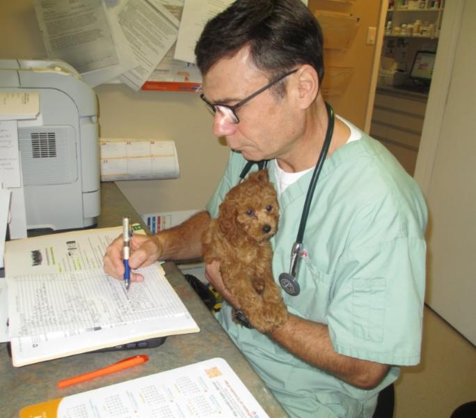 Anderson Animal Hospital Winnipeg, MB 60 Marion St Canpages