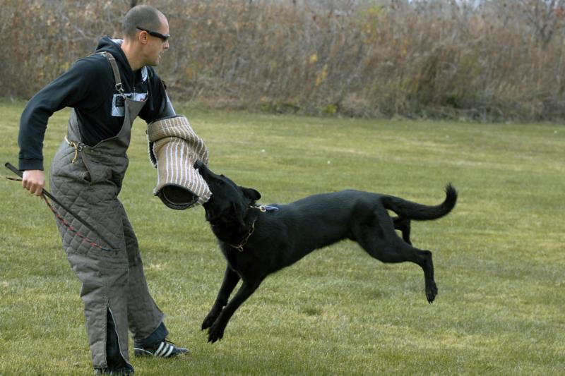 daycare laval english Spécialiste Chien  Canpages (Le) du